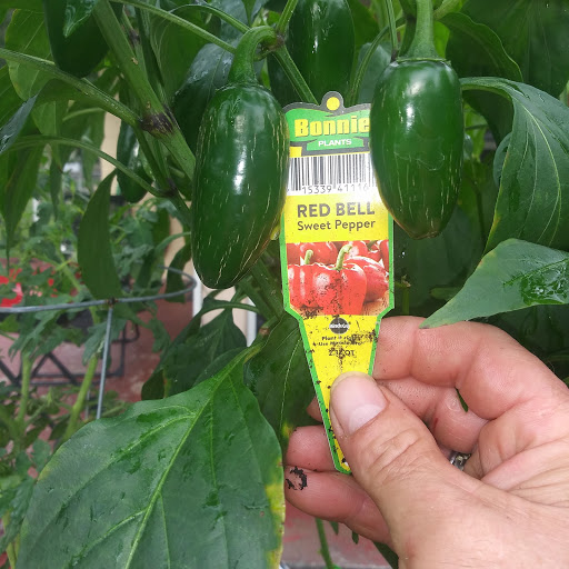 Home Improvement Store «The Home Depot», reviews and photos, 2805 US-98, Lakeland, FL 33805, USA