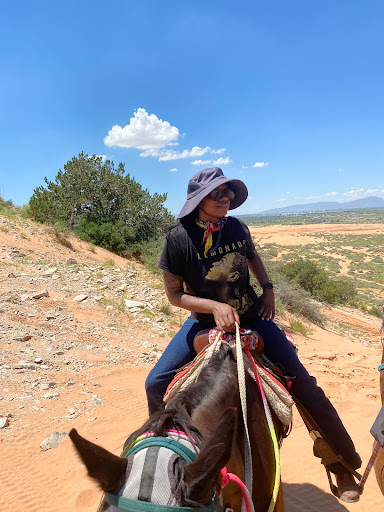 Horse trainer El Paso