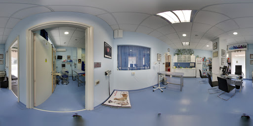 Veterinary clinics in Turin
