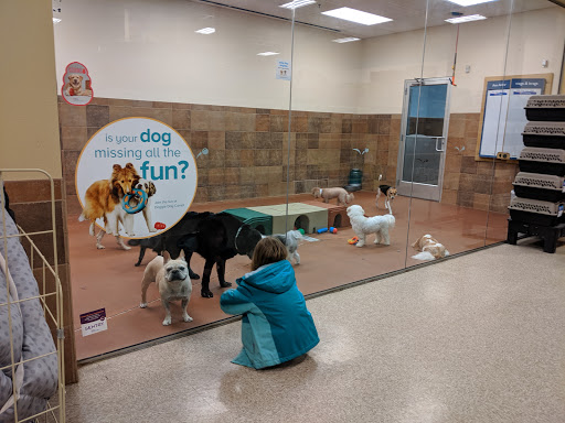 Pet Supply Store «PetSmart», reviews and photos, 2865 Oak Valley Dr, Ann Arbor, MI 48103, USA