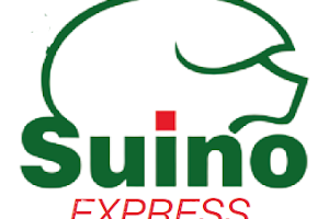 Suino Express image
