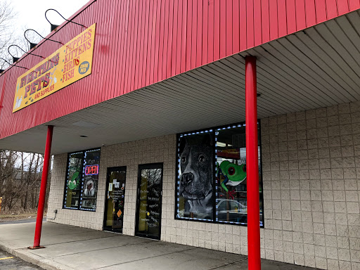 Everything Pets, 1506 Altamont Ave, Schenectady, NY 12303, USA, 