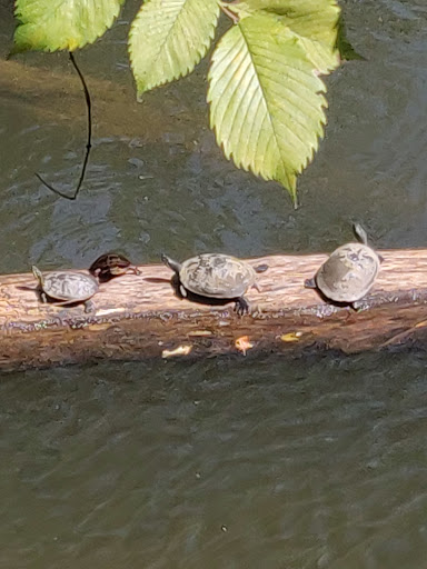 Country Club «Princeton Country Club», reviews and photos, 1 Wheeler Way, Princeton, NJ 08540, USA