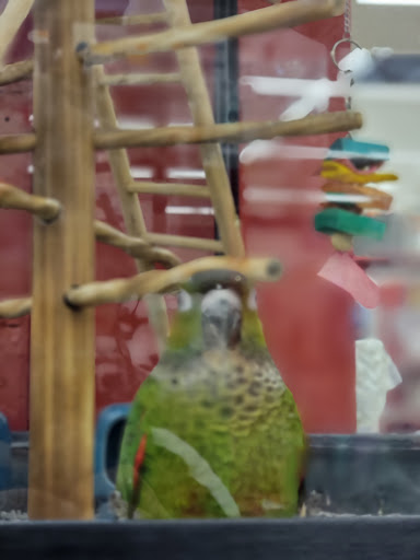 Pet Supply Store «Petco Animal Supplies», reviews and photos, 6181 Old Dobbin Ln #800, Columbia, MD 21045, USA