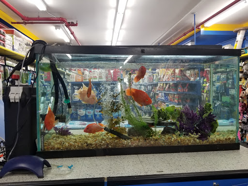 Pet Store «Petland Discounts - Willoughby», reviews and photos, 72 Willoughby St, Brooklyn, NY 11201, USA