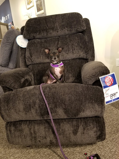 Furniture Store «La-Z-Boy Furniture Galleries», reviews and photos, 17400 NW Corridor Ct, Beaverton, OR 97006, USA