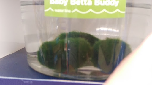 Pet Supply Store «Petco Animal Supplies», reviews and photos, 4665 Garth Rd #400, Baytown, TX 77521, USA