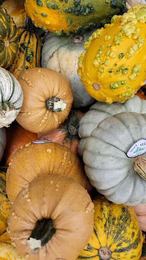 Grocery Store «Family Fare Supermarket», reviews and photos, 699 U.S. 2, St Ignace, MI 49781, USA