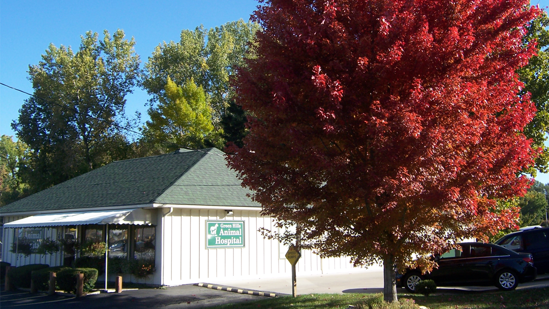 Green Hills Animal Hospital