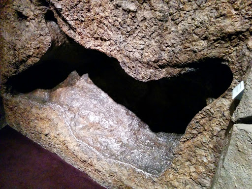 Natural History Museum «Burke Museum of Natural History and Culture», reviews and photos, 1413 NE 45th St, Seattle, WA 98105, USA