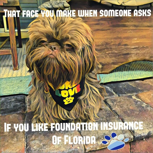 Insurance Agency «Foundation Insurance of Florida», reviews and photos