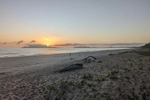 Saunders Beach Park Rest Area image