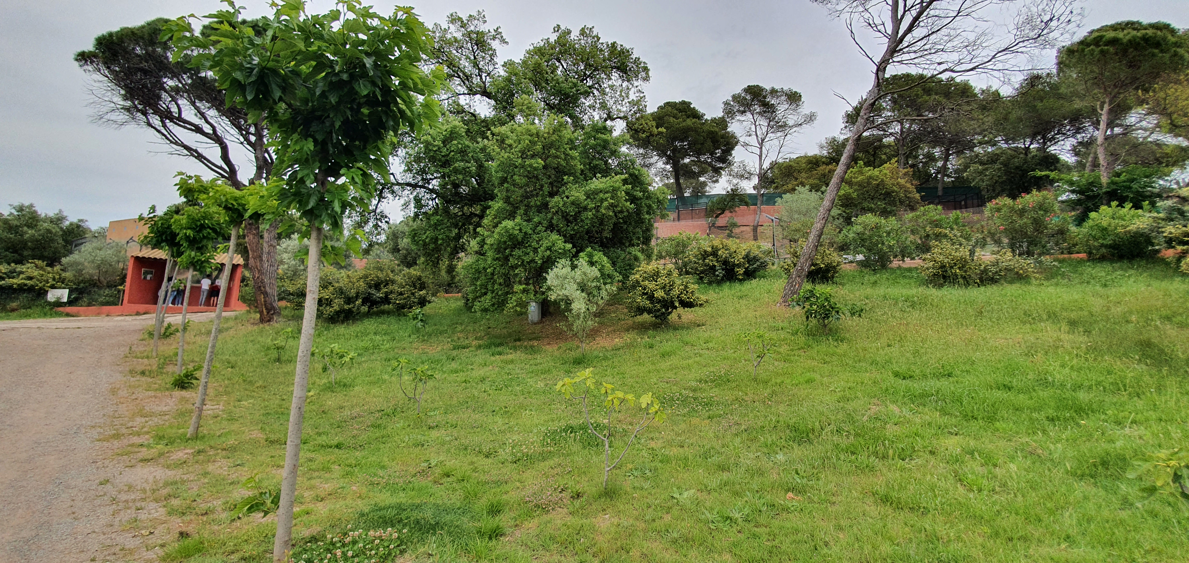 Photo n° 40 de l'avis de Fadella.R fait le 30/05/2021 à 19:03