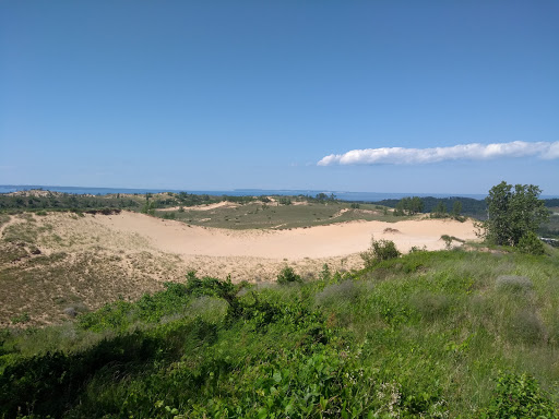 Stadium «Comerica Park», reviews and photos, 2100 Woodward Ave, Detroit, MI 48201, USA