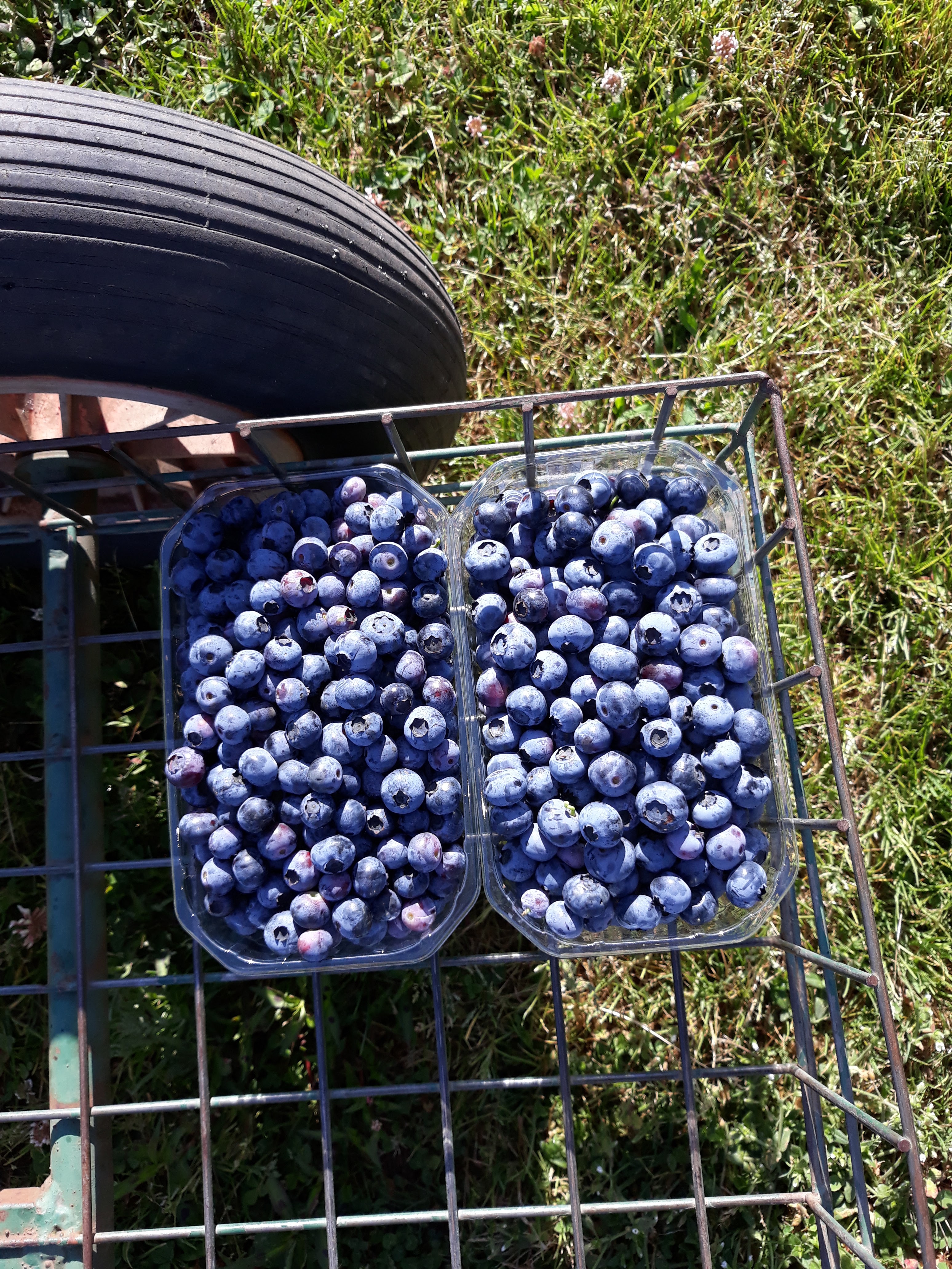 Photo n° 1 de l'avis de Véronique.I fait le 19/06/2018 à 09:47