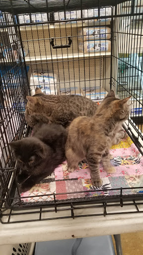 Pet Supply Store «PetSmart», reviews and photos, 2216 E Springs Dr, Madison, WI 53704, USA