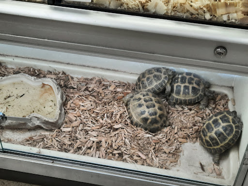 Pet Supply Store «Pet Expo Distributors», reviews and photos, 1800 Adams St, Mankato, MN 56001, USA