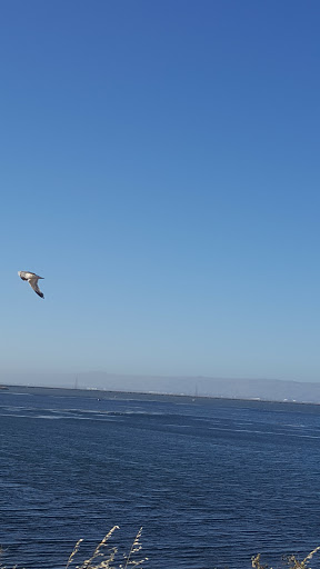 Recreation Center «Shoreline Lake Boathouse», reviews and photos, 3160 N Shoreline Blvd, Mountain View, CA 94043, USA
