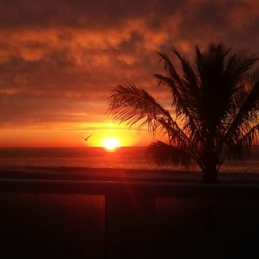 Night Club «Jenks Club», reviews and photos, 300 Ocean Ave, Point Pleasant Beach, NJ 08742, USA