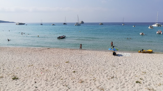 Plage de Saleccia