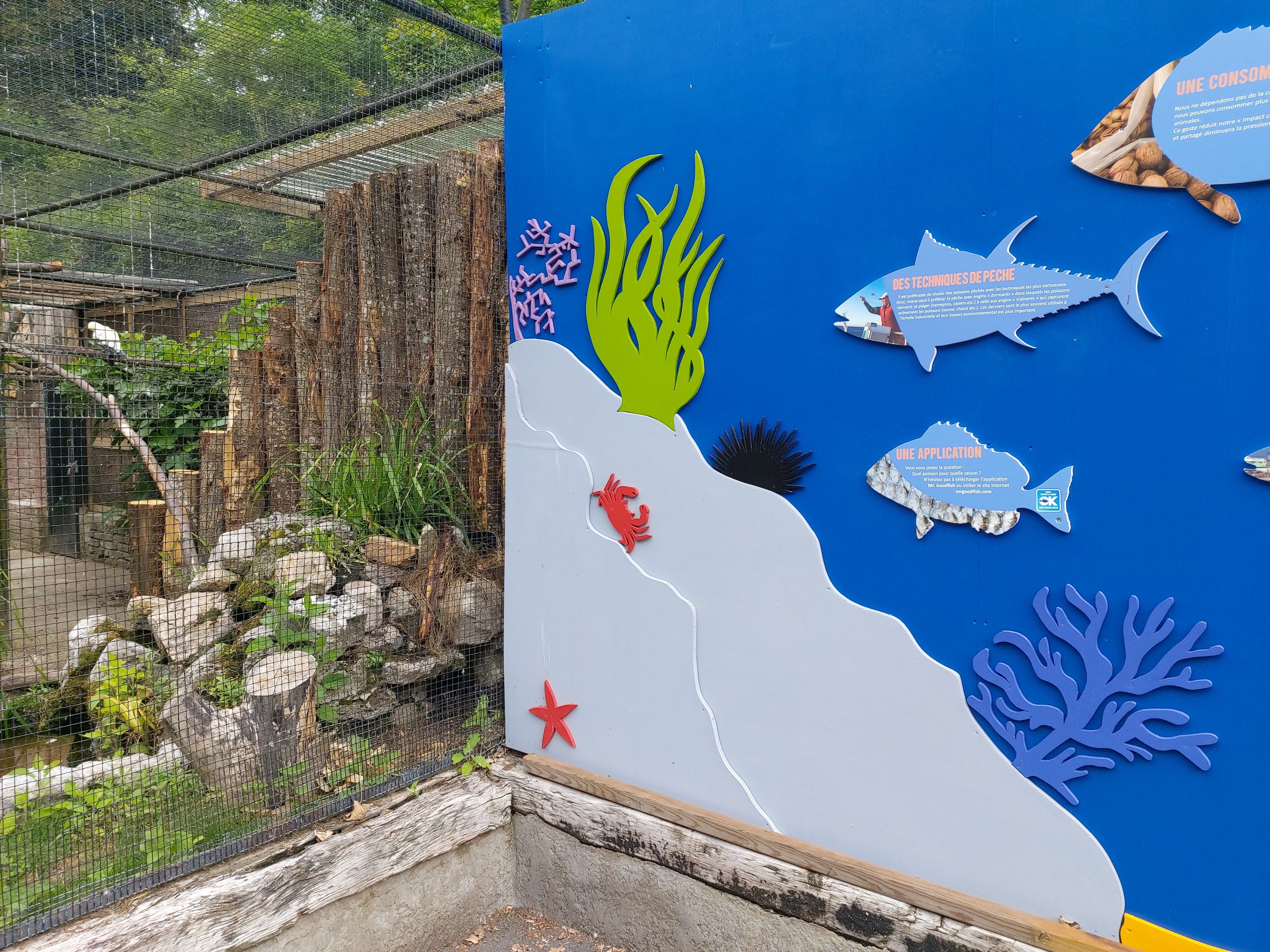 Photo n° 15 de l'avis de DJ.i fait le 12/06/2021 à 15:42