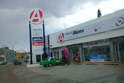 Farmacia Del Ahorro, , Silao