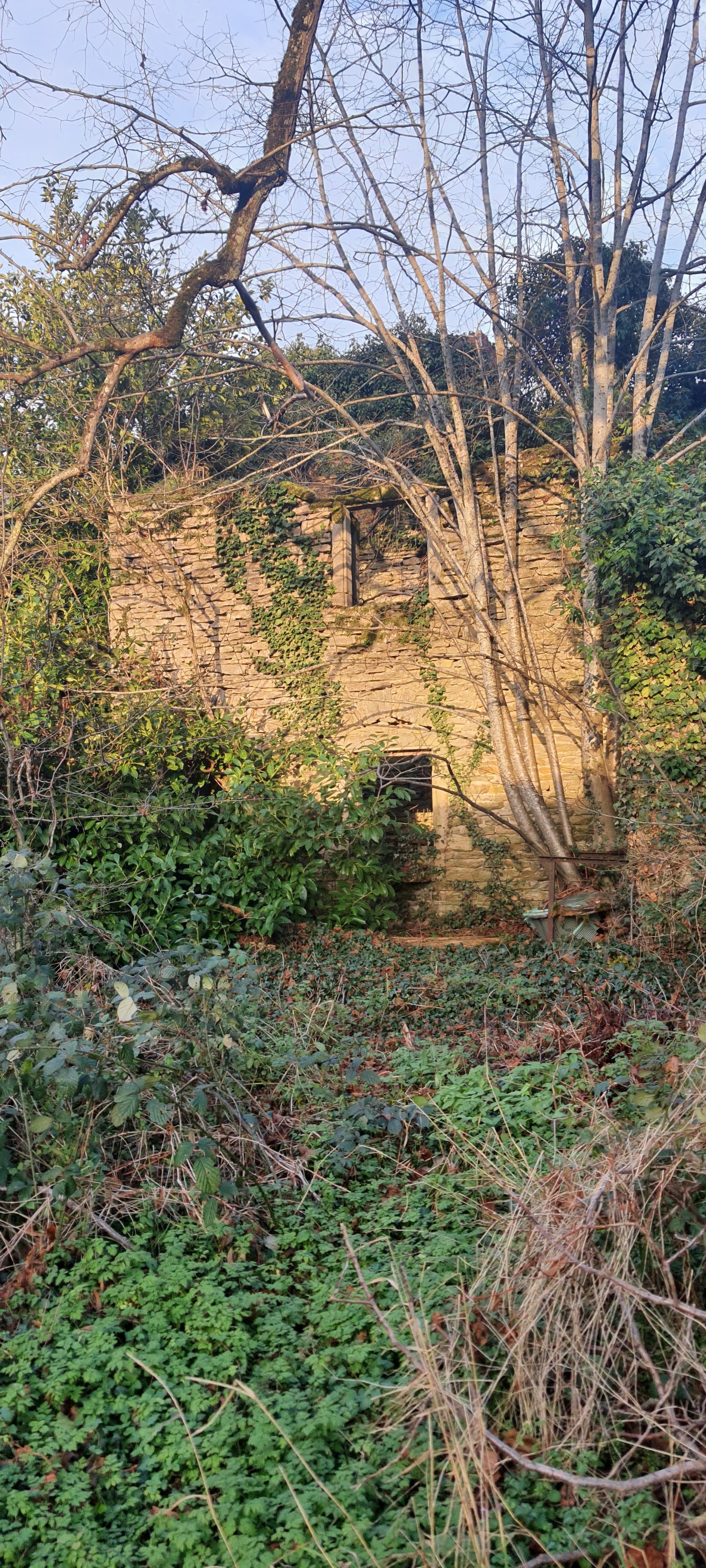 Photo n° 1 de l'avis de Marie.a fait le 25/12/2023 à 19:43