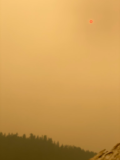 Roofing Contractor «A Good Roof», reviews and photos, 5815 Sea View Ave, Tillamook, OR 97141, USA