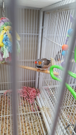 Pet Supply Store «Pet Supplies Plus», reviews and photos, 1726 Dekalb Pike, Blue Bell, PA 19422, USA