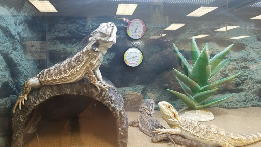 Pet Supply Store «Petco Animal Supplies», reviews and photos, 7434 Little River Turnpike, Annandale, VA 22003, USA