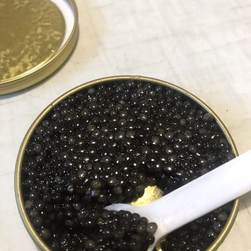 Bester Caviar - best caviar store in Miami