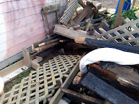 REMOVE SCAPE L.L.C - Photo 9 - Car repair in , Corpus Christi