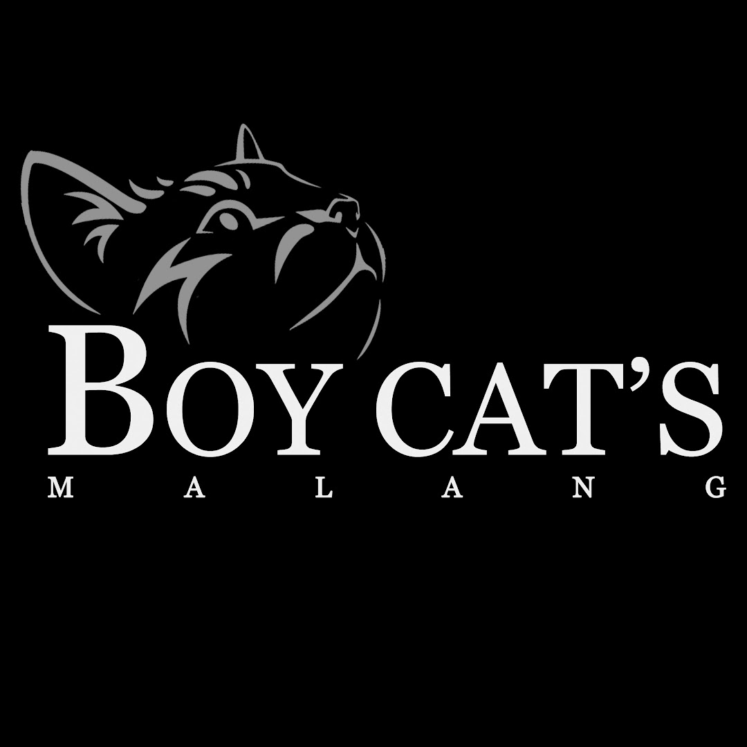 Boy Cats Malang & Planet Grooming