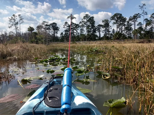 Nature Preserve «Cypress Creek Natural Area», reviews and photos, 10035 W Indiantown Rd, Jupiter, FL 33478, USA