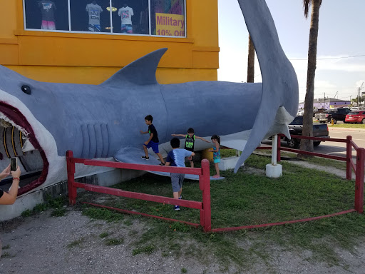 Gift Shop «North Beach Gift Shop», reviews and photos, 2901 Surfside Blvd, Corpus Christi, TX 78402, USA