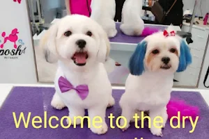 Posh Pet Salon image