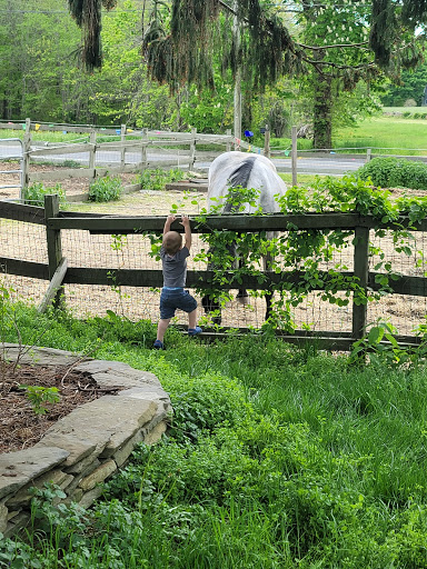 Animal Rescue Service «Ray of Light Farm Inc», reviews and photos, 232 Town St, East Haddam, CT 06423, USA