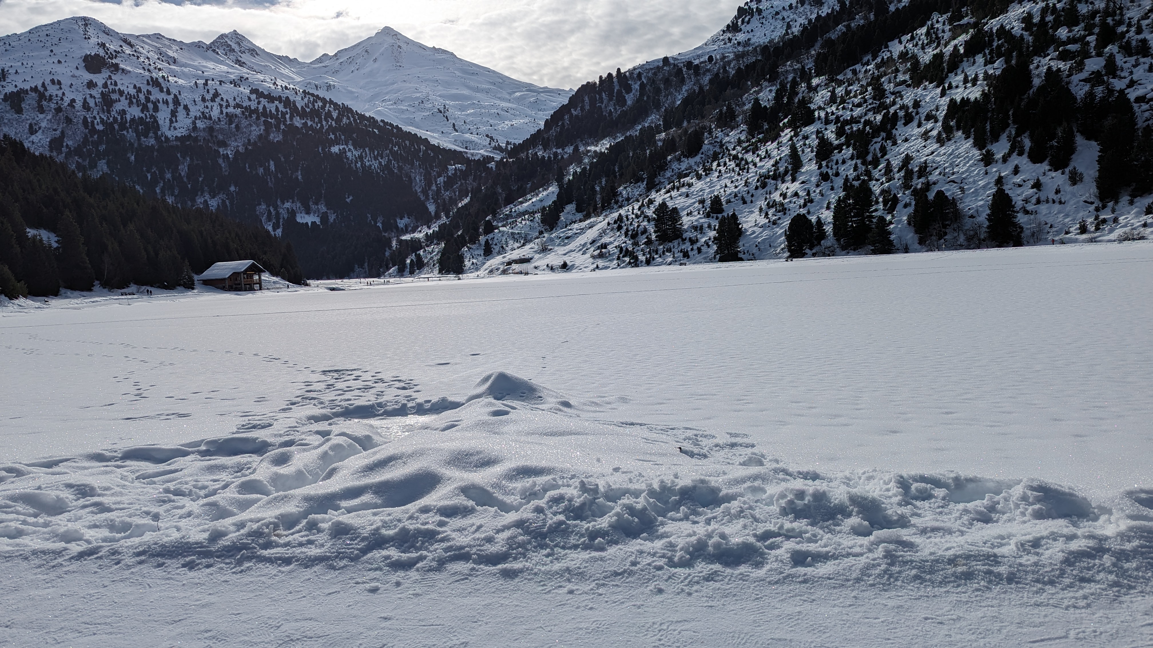 Photo n° 1 de l'avis de A. fait le 31/01/2024 à 17:37