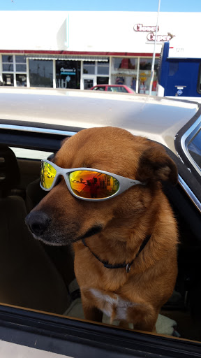 Hardware Store «Ace Hardware», reviews and photos, 1214 Soquel Ave, Santa Cruz, CA 95062, USA