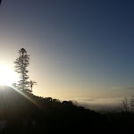 Photo n°1 de l'avis de Nuno. fait le 26/01/2019 à 12:17 sur le  Hotel Convento de São Paulo à Redondo