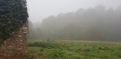 La lande d'airou à La Lande-d'Airou
