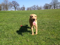 Play Pals NYC - Photo 6 - Car repair in New York, NY, New York