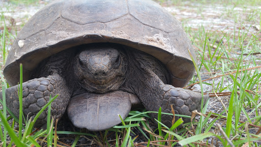 Learning Center «Oxbow Eco-Center», reviews and photos, 5400 NE St James Dr, Port St Lucie, FL 34983, USA