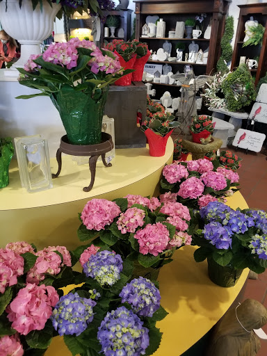 Florist «Thrifty Florist», reviews and photos, 211 S Telegraph Rd, Pontiac, MI 48341, USA