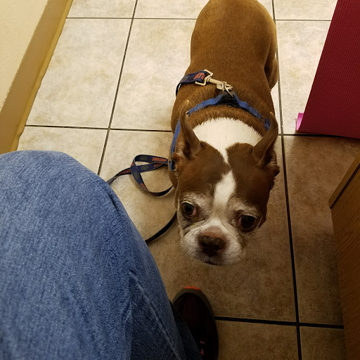 3304 Canoe Creek Rd, St Cloud, FL 34772, USA