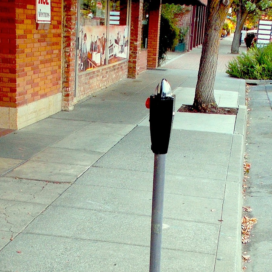 The Lonely Parking Meter