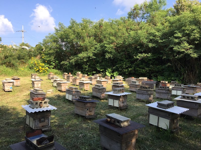 沖縄かりゆし養蜂