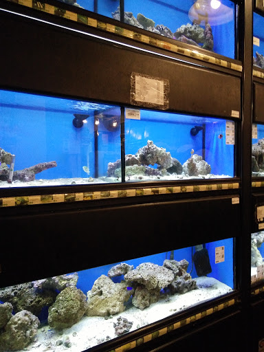 Pet Store «Pets Plus Inc», reviews and photos, 2610 Jefferson Davis Hwy, Stafford, VA 22554, USA