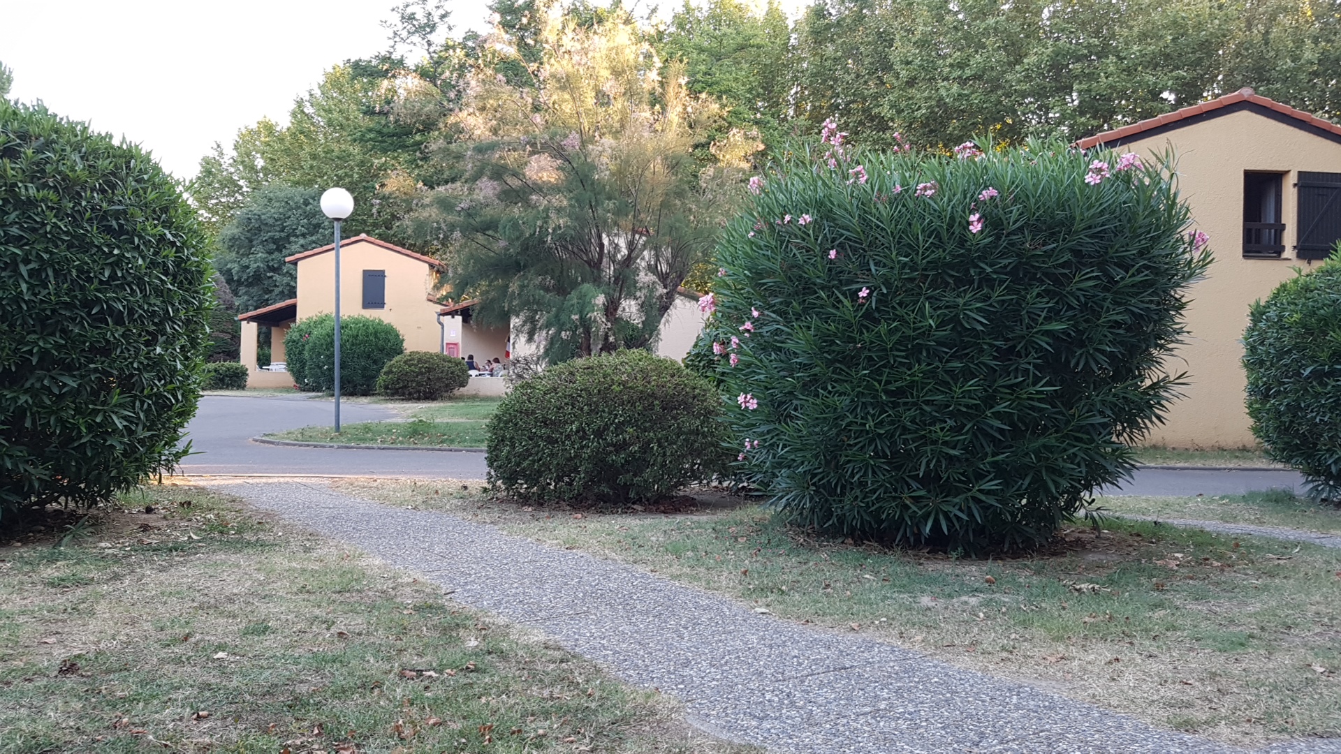 Photo n° 1 de l'avis de Denis.a fait le 20/07/2018 à 17:19