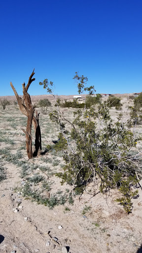 Ocotillo Wells Ranger Station image